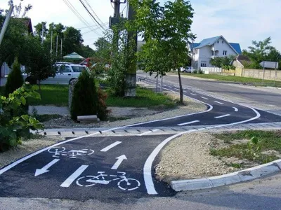 Pistă pentru biciclete, 315 copaci tăiați (sursa: ziaruldeiasi.ro)