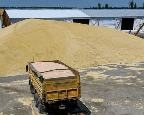 Turcia, presiune pe exporturile cerealiere ucrainene