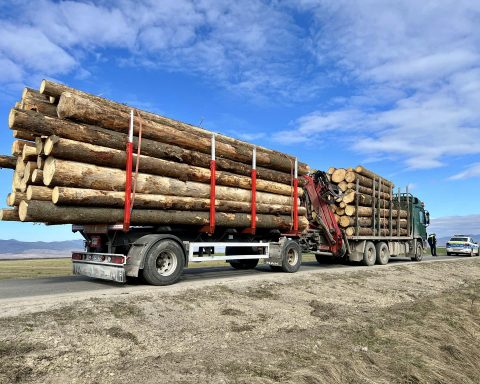 Transporturile de lemn, probleme cu legea