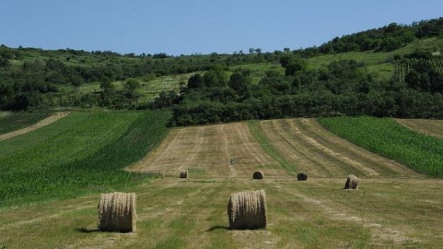 Kafka este birocrat al statului român