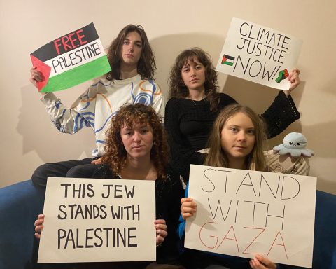 Activista Greta Thunberg, susținere pentru Gaza
