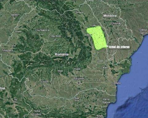 Pârșul moldovenesc din Miocenul Superior, descoperit