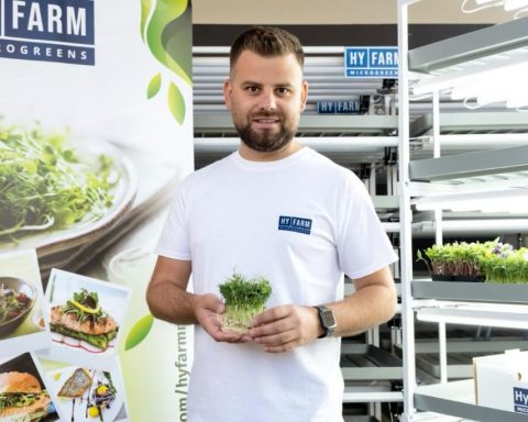 Microplante în franciză, o afacere europeană