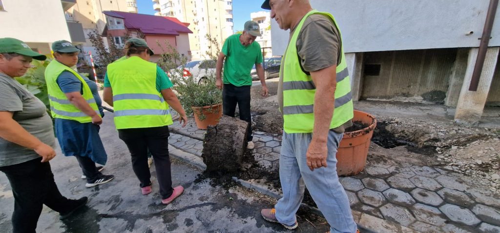 Strănepoții teiului lui Eminescu, poluați mortal